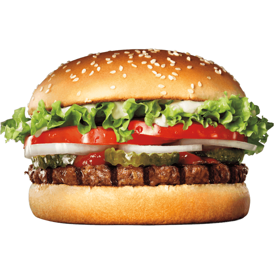 Hamburger Vegetal